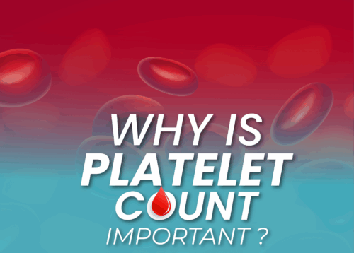 Unlock the Power of Platelets: Supercharge Your Blood with TheseNutrient-Rich Foods!