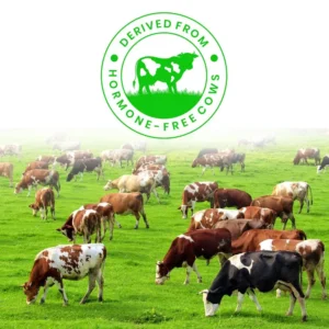 Naturaltein Whey Protein Isolate