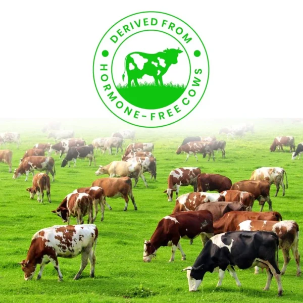 Naturaltein Whey Protein Isolate