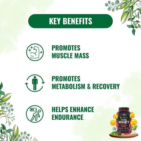 Pure Nutrition Whey Protein