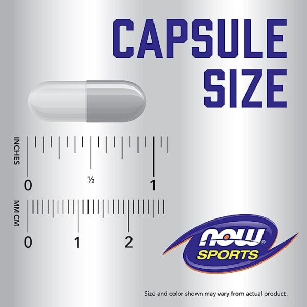 NOW Sports Nutrition, ZMA (Zinc, Magnesium and Vitamin B-6), Enhanced Absorption, Sports Recovery