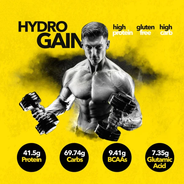 Healthfarm Hydro Gain High-quality Mass Gainer