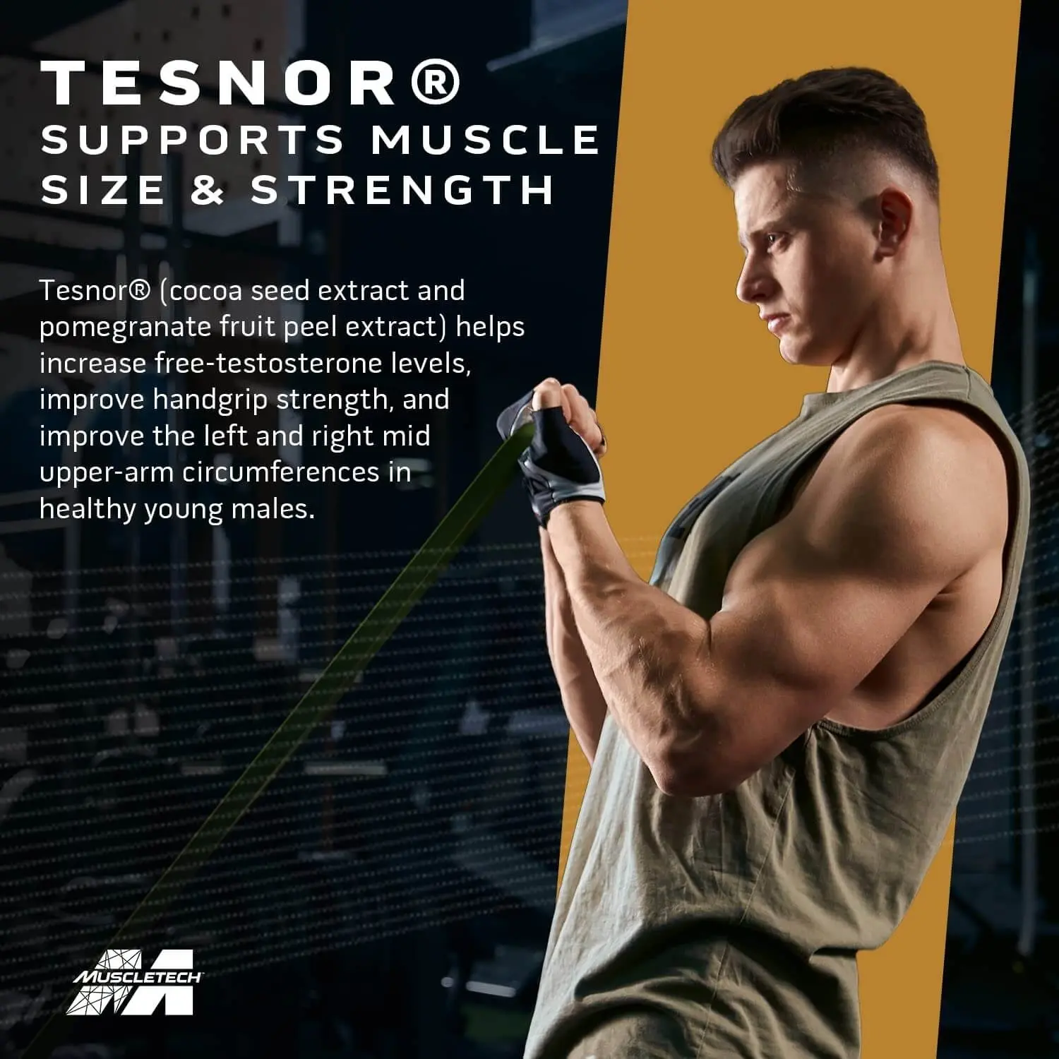 MuscleTech Test HD Elite - Image 6