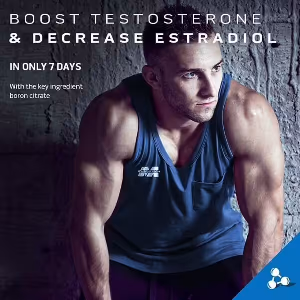 MuscleTech Muscle Builder PM - product image