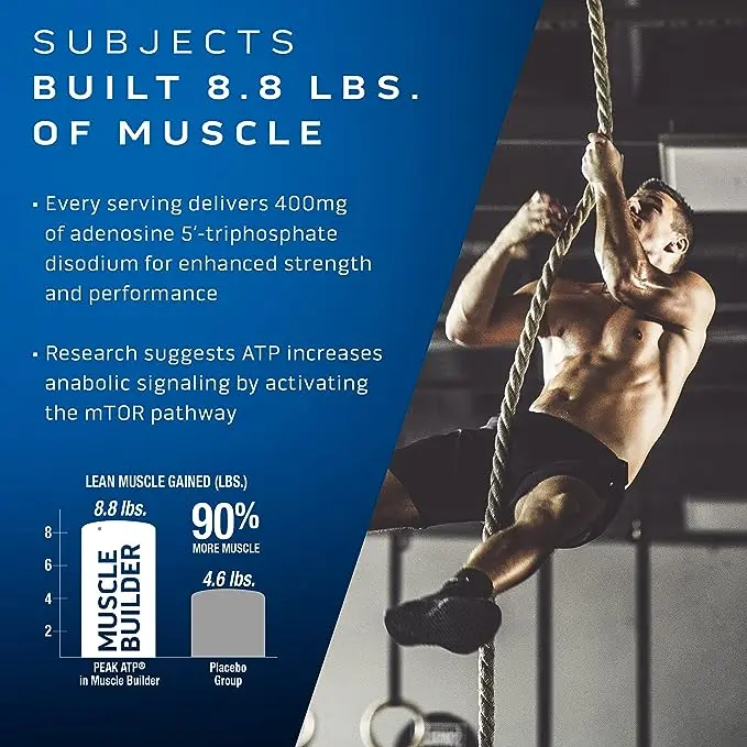 MuscleTech Muscle Builder - Image 3