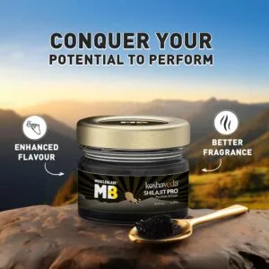 Muscleblaze Koshaveda Shilajit Pro