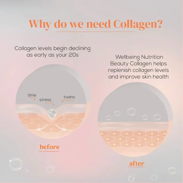 Wellbeing Nutrition Beauty Korean Marine Collagen Peptides