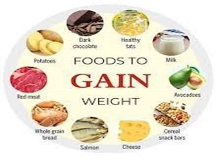Comprehensive Guide to Weight Gain Foods: A Blend of Vegetarian and Non-Vegetarian Options 2 Comprehensive Guide to Weight Gain Foods: A Blend of Vegetarian and Non-Vegetarian Options