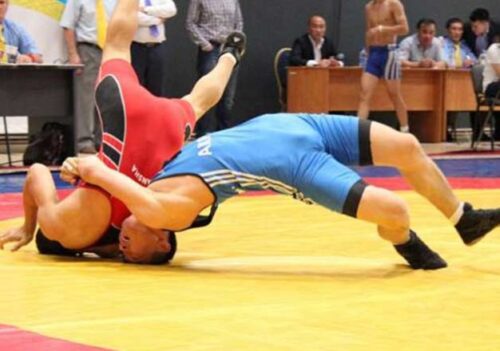 A Comprehensive Guide to Optimal Nutrition and Supplement Strategies for High School Wrestlers