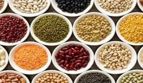 Exploring Zinc Rich Foods in India for Optimal Health