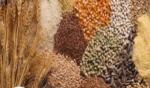 Exploring Zinc Rich Foods in India for Optimal Health 4 Exploring Zinc Rich Foods in India for Optimal Health