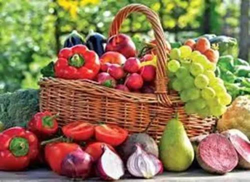 Exploring Zinc Rich Foods in India for Optimal Health