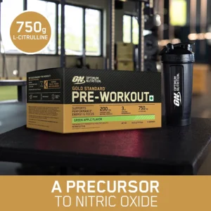 Optimum Nutrition (ON) Gold Standard Pre-Workout- 142.5g/15 single serve packs