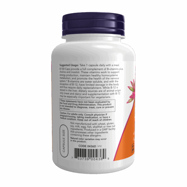 Now Vitamin B-100 Veg Capsules