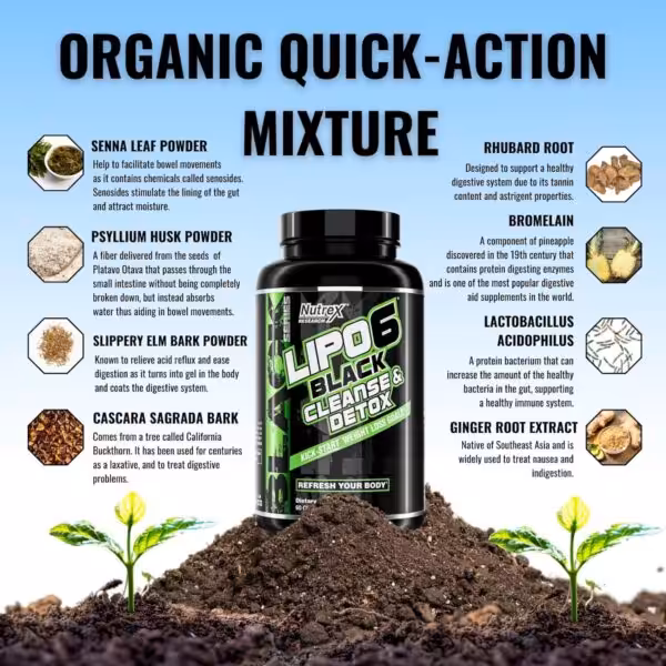 LIPO-6 Black Cleanse & Detox infographic listing natural ingredients for digestive health and weight loss