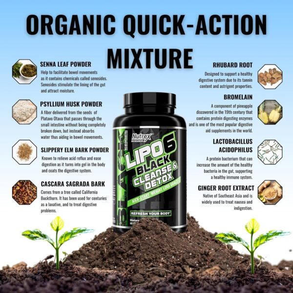 Nutrex Research Lipo-6 Cleanse & Detox for Weight Loss & Digestive Health