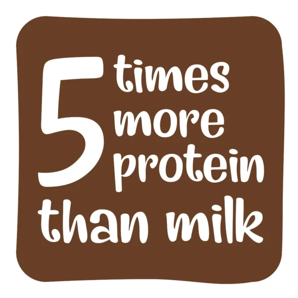 Zucchero Dark Chocolate Peanut Butter | The Rich Blend | Anti-oxidants