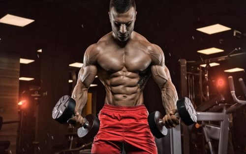 Indian Vegetarian Diet Plan For Bodybuilding 3 Indian Vegetarian Diet