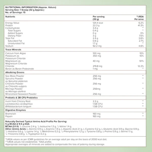 Wellbeing Nutrition Vegan Protein - Belgian Dark Chocolate