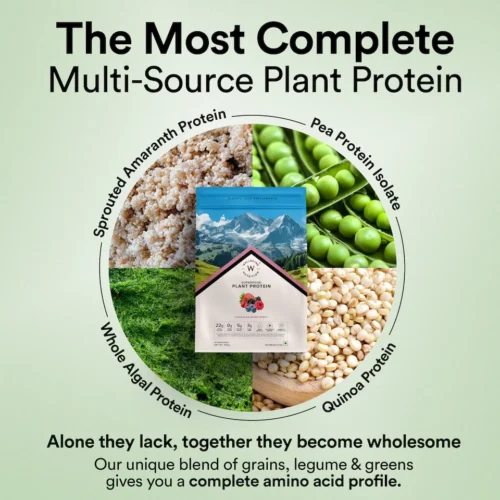 Wellbeing Nutrition Vegan Protein - Canadian Mixed Berry - Image 3