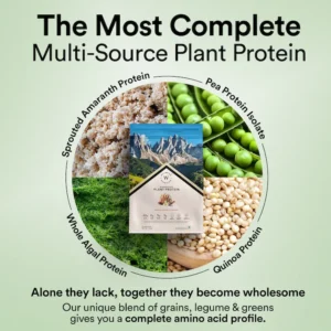 Wellbeing Nutrition Vegan Protein - French Vanilla Caramel