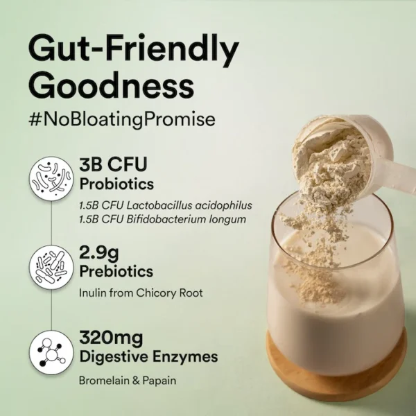 Wellbeing Nutrition Vegan Protein - French Vanilla Caramel