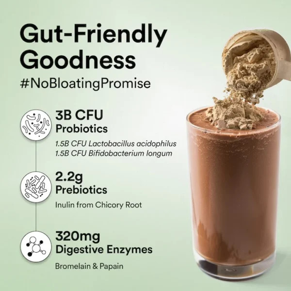 Wellbeing Nutrition Vegan Protein - Belgian Dark Chocolate