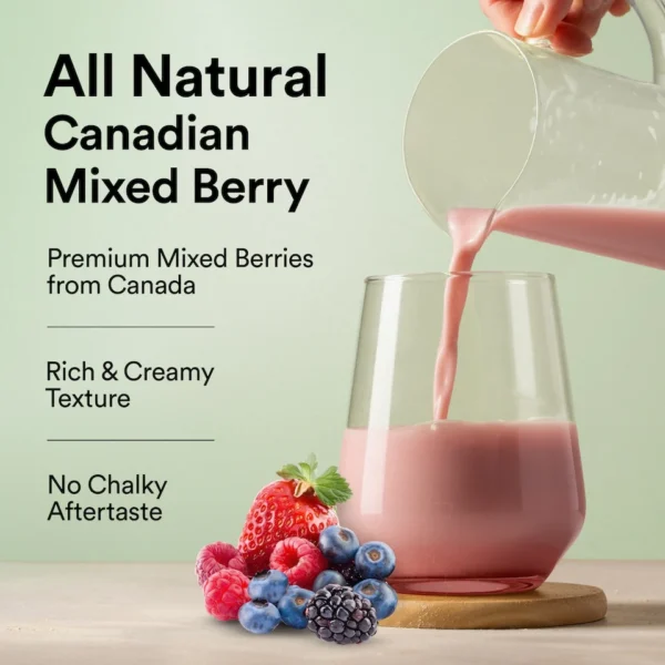 Wellbeing Nutrition Vegan Protein - Canadian Mixed Berry