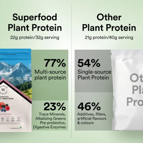 Wellbeing Nutrition Vegan Protein - Canadian Mixed Berry