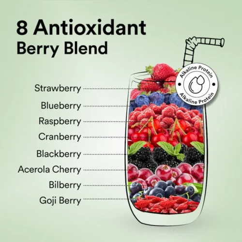 Wellbeing Nutrition Vegan Protein - Canadian Mixed Berry - Image 5
