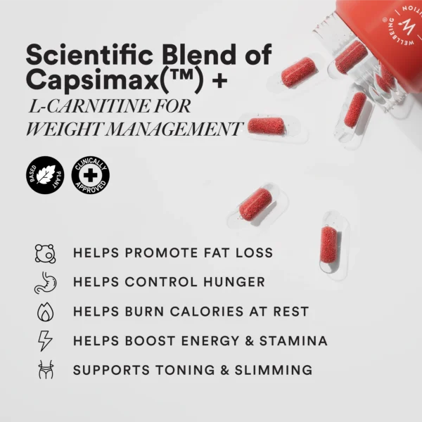 Wellbeing Nutrition Slow Burn - Fat Burner Capsules