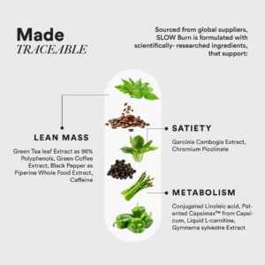 Wellbeing Nutrition Slow Burn - Fat Burner Capsules