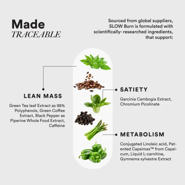 Wellbeing Nutrition Slow Burn - Fat Burner Capsules