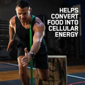 Optimum Nutrition (ON) Zinc Magnesium Aspartate (ZMA) - 60 Caps