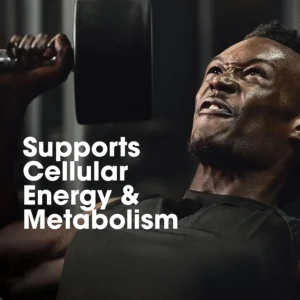 Optimum Nutrition (ON) Multivitamin for Men 60 Tablets