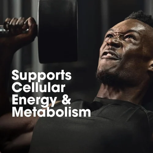 Optimum Nutrition (ON) Multivitamin for Men 60 Tablets - Image 8