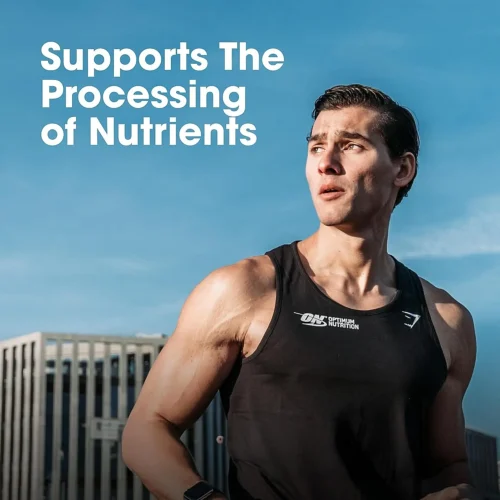 Optimum Nutrition (ON) Multivitamin for Men 60 Tablets - Image 7