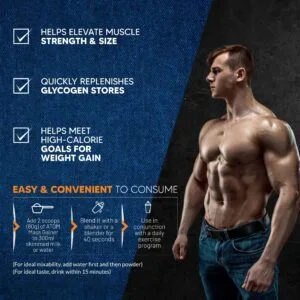 Asitis Nutrition ATOM Mass Gainer