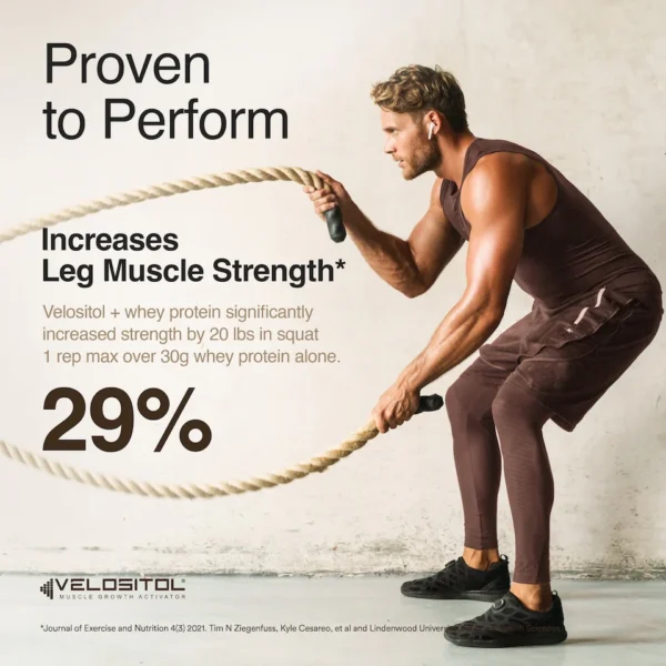 Wellbeing Nutrition Whey Protein Swiss Chocolate (Isolate + Concentrate)