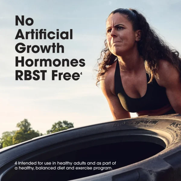 Optimum Nutrition ON Whey Protein (Gold Standard Whey) 10lbs USA