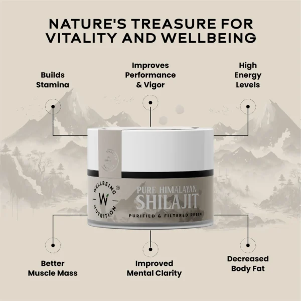 Wellbeing Nutrition Shilajit Resin 10 gm