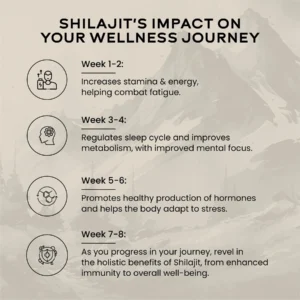 Wellbeing Nutrition Shilajit Resin 10 gm