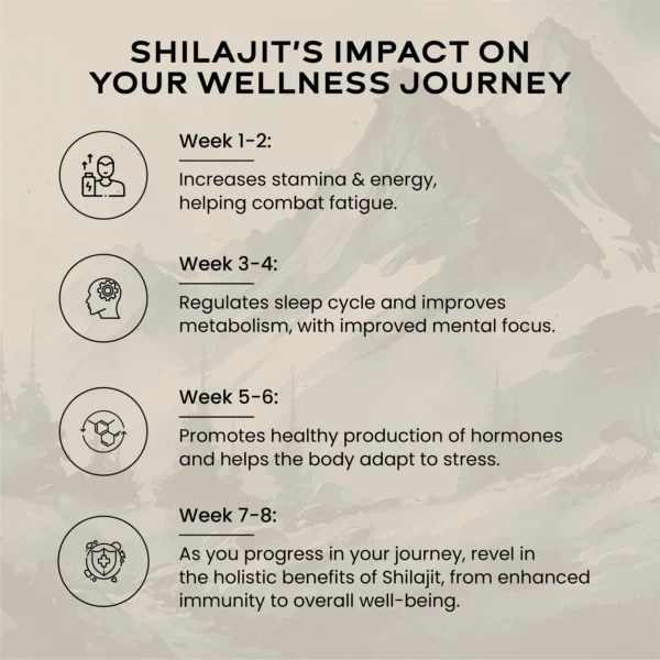 Wellbeing Nutrition Shilajit Resin 10 gm