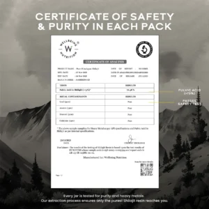 Wellbeing Nutrition Shilajit Resin 10 gm