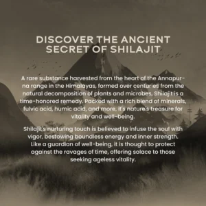 Wellbeing Nutrition Shilajit Resin 10 gm