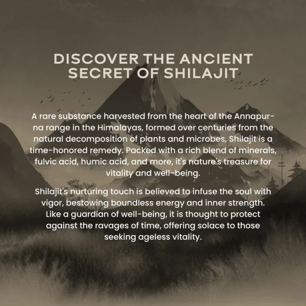 Wellbeing Nutrition Shilajit Resin 10 gm