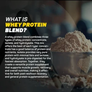 Avolt Nutrition Protein Wafer Bar - Variety Pack