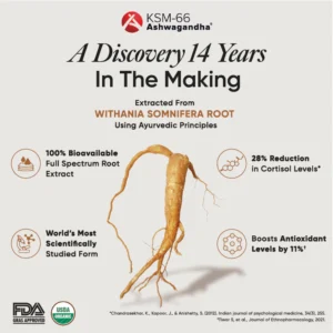 Wellbeing Nutrition Melts® Pure Ashwagandha Strips, Orange Mint flavour