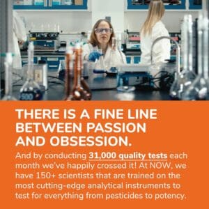 NOW Foods, Melatonin, 3 mg, 180 Veg Capsules