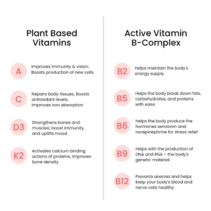 Wellbeing Nutrition Melts® Multivitamin Oral Strips, Divine Alphonso Mango Flavor